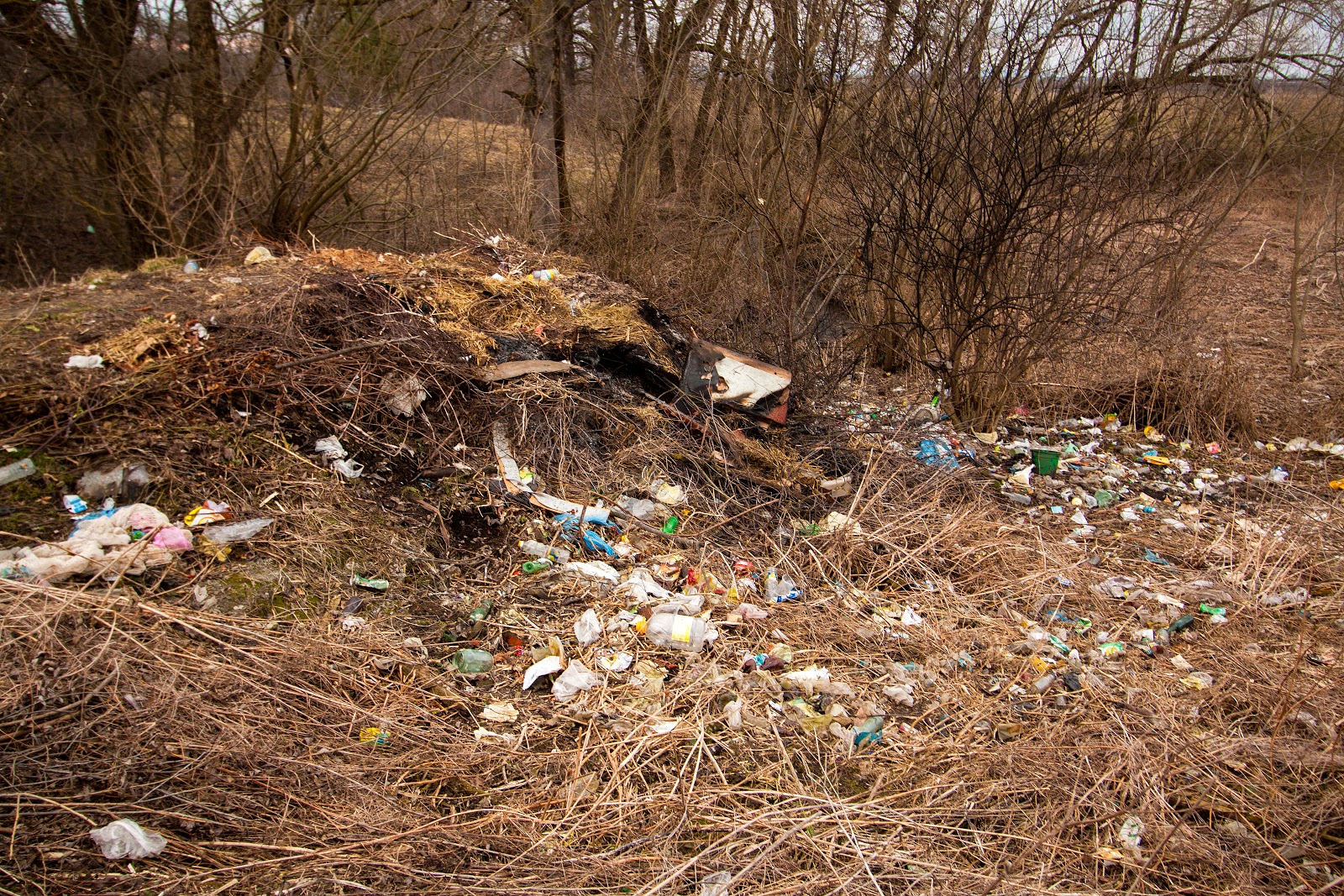 В населенном пункте около Нур-Султана насчитали около 70 трупов животных