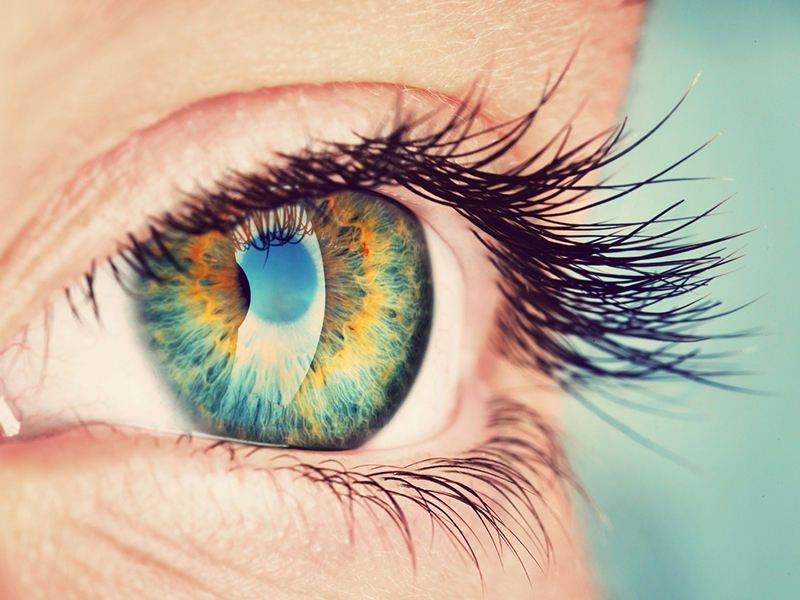 Тест: Проверка вашего визуального восприятия окружающего мира