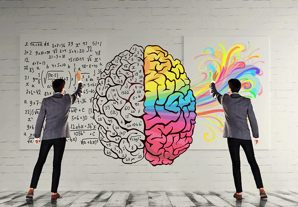 Тест: Какое полушарие мозга у вас доминирует?