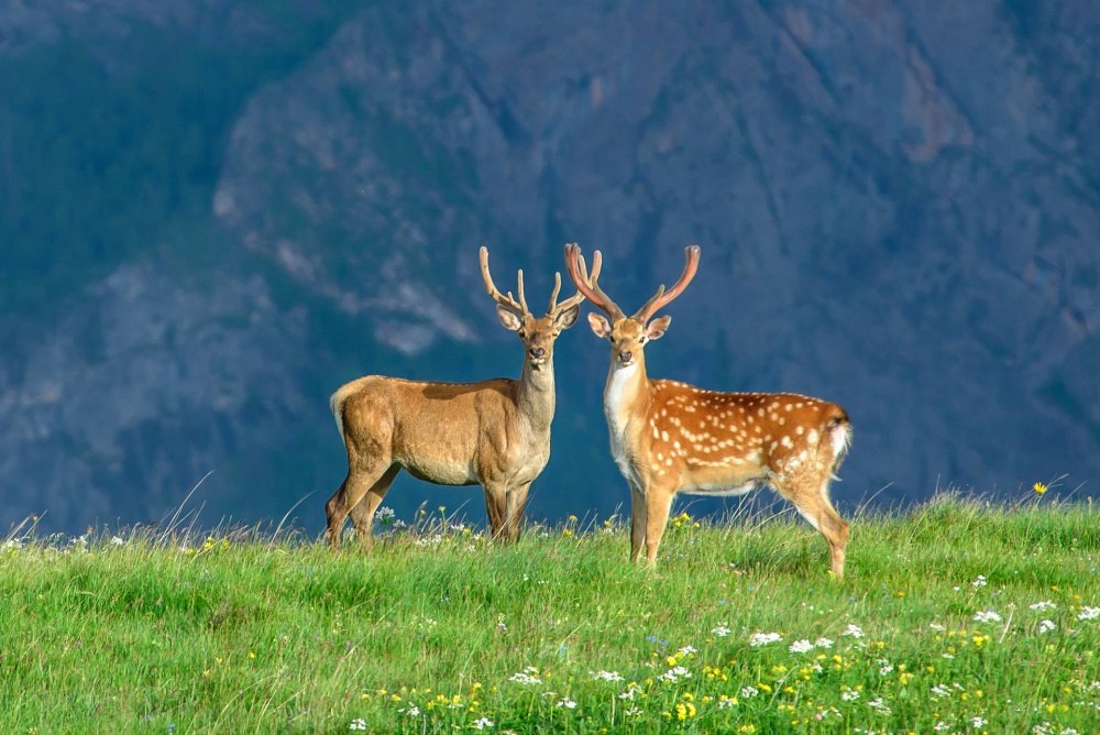 Тест: Справитесь с вопросами по окружающему миру?