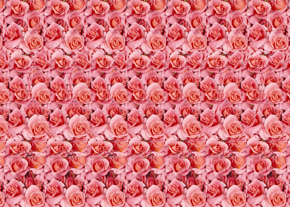 Тест по стереокартинкам: Сможете ли вы хоть что-то рассмотреть?