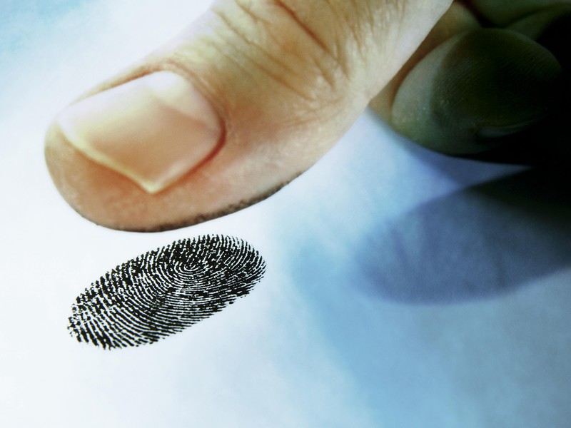 Тест: Узнайте о себе по своим отпечаткам пальцев