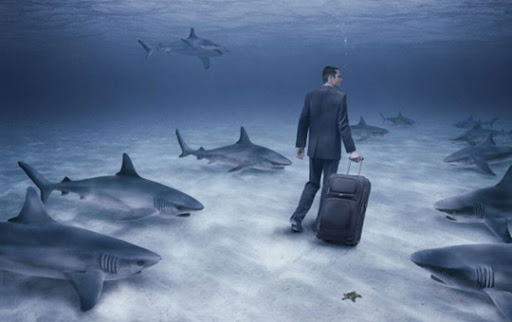 Когда бизнесу, выстроенному вокруг личного бренда, необходим аудит онлайн-репутации