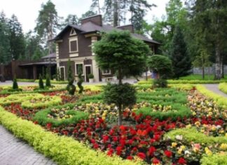 Ландшафтный дизайн приусадебного участка в Москве