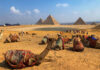 Сезон в Египте: когда и куда стоит ехать отдыхать