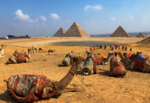 Сезон в Египте: когда и куда стоит ехать отдыхать