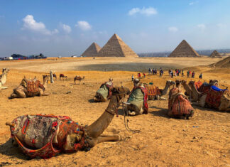 Сезон в Египте: когда и куда стоит ехать отдыхать