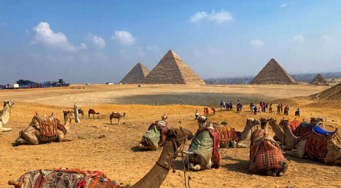 Сезон в Египте: когда и куда стоит ехать отдыхать