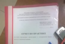Как написать отчет по практике?
