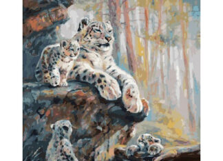 Преимущества картин по номерам на холсте