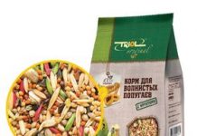 Как выбрать корм для попугаев?