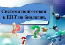 Подготовка к ЕНТ: как подготовиться?