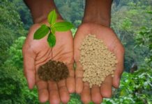 Польза минеральных удобрений