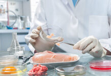 Для чего проводятся испытания пищевой продукции?