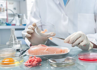 Для чего проводятся испытания пищевой продукции?