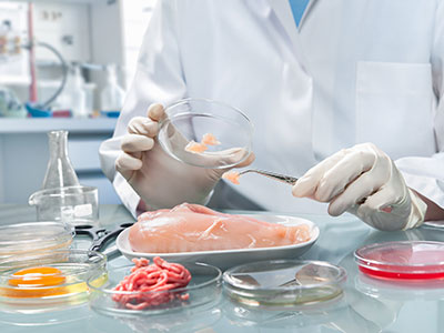 Для чего проводятся испытания пищевой продукции?