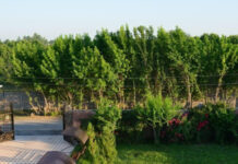 Преимущества отдыха на курорте Сарыагаш