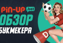 Особенности букмекерской конторы Pin Up Bet