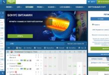 Как делать ставки на футбол новичкам?