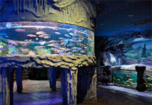 Куда сходить в Воронеже ?