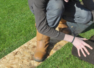 Укладка рулонного газона: технология и уход