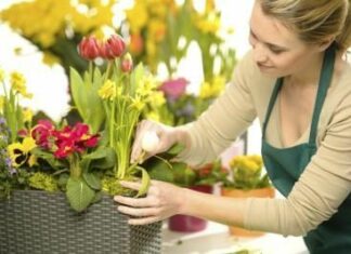 Чем занимается флорист?