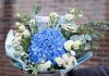 Чем уникален букет из гортензии?