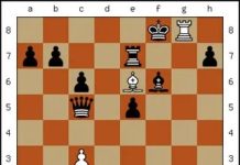 Как играть в шахматы: правила игры