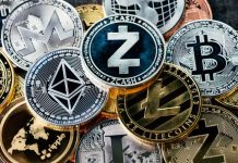 В какие криптовалюты вкладывают деньги квалифицированные инвесторы?