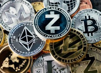 В какие криптовалюты вкладывают деньги квалифицированные инвесторы?