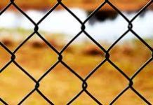 Как использовать сетку рабицу в строительстве?