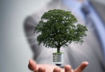 Какие вопросы рассматривает экологическое право?