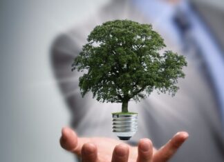 Какие вопросы рассматривает экологическое право?