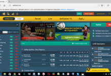 Какую букмекерскую контору лучше выбрать в Казахстане?