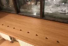 Подоконники из дуба: удачное сочетание с окном любого цвета