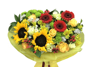 Какие цветы подарить для поднятия настроения?