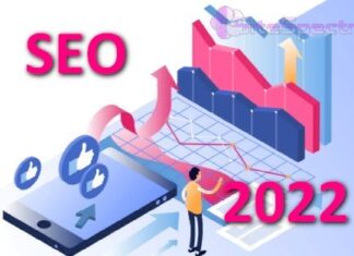 Топ 3 трендов SEO на 2022