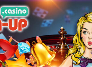 Pin Up Casino: что можно ожидать новым игрокам?