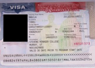 Получение студенческой визы F1 в США