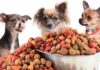Сухой корм для собак: рейтинг лучших производителей