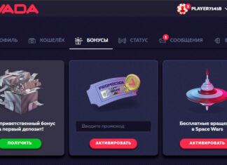 Бонусная система в казино Вавада