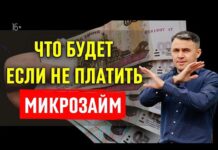 Что будет если не платить микрозайм?