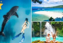 10 лучших туров и экскурсий в Себу