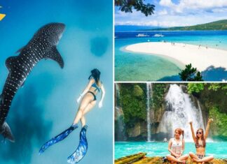 10 лучших туров и экскурсий в Себу