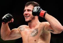 Почему популярность боев UFC выросла?