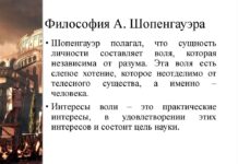 Философия А. Шопенгауэра