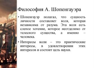 Философия А. Шопенгауэра