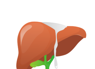 Польза Масла Чёрного Тмина для печени: свойства и применение