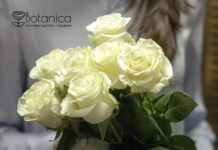 Почему стоит заказать цветы с доставкой?