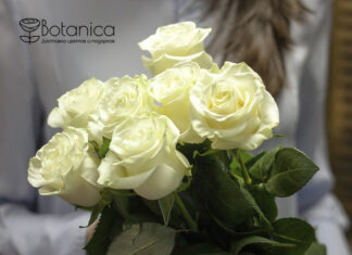 Почему стоит заказать цветы с доставкой?